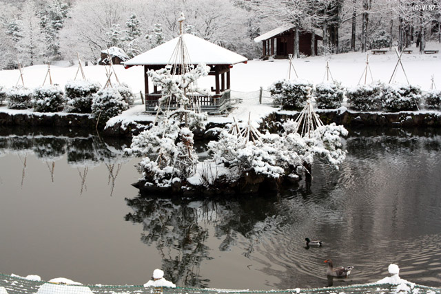 雪景色 冬 石川 金沢 キゴ山 緑地広場周辺